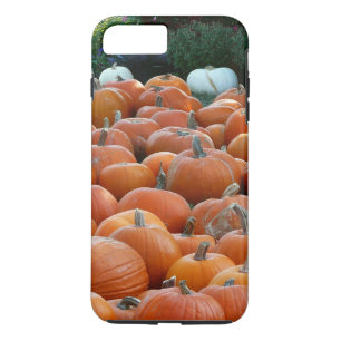 Pompoenen en Mums Herfst Oogst Fotografie Case-Mate iPhone Case