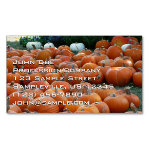Pompoenen en Mums Herfst Oogst Fotografie Magnetisch Visitekaartje
