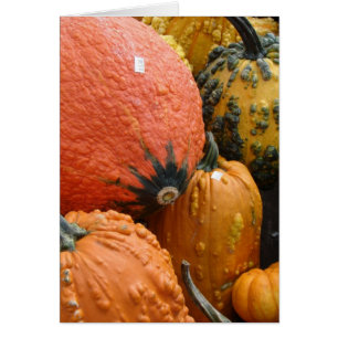 Pompoenen en pompoenen