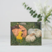 Pompoenen en pompoenen feestdagenkaart (Staand voorkant)