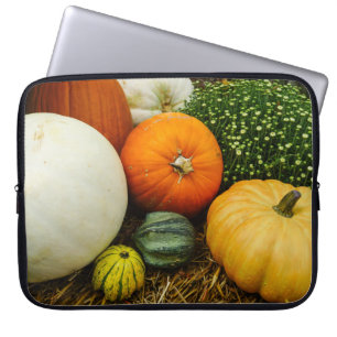 Pompoenen en pompoenen laptop sleeve