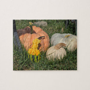 Pompoenen en pompoenen legpuzzel