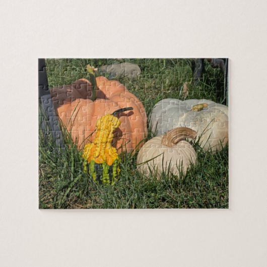 Pompoenen en pompoenen legpuzzel (Horizontaal)