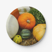 Pompoenen en pompoenen papieren bordje (Voorkant)