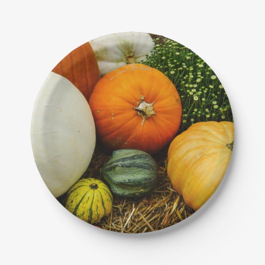 Pompoenen en pompoenen papieren bordje (Voorkant)