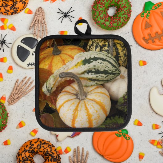 Pompoenen en Squash Stilleven Pannenlap