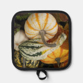 Pompoenen en Squash Stilleven Pannenlap (Voorkant)