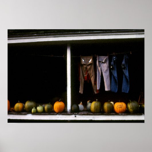 Pompoenen en waslijn Poster (Voorkant)