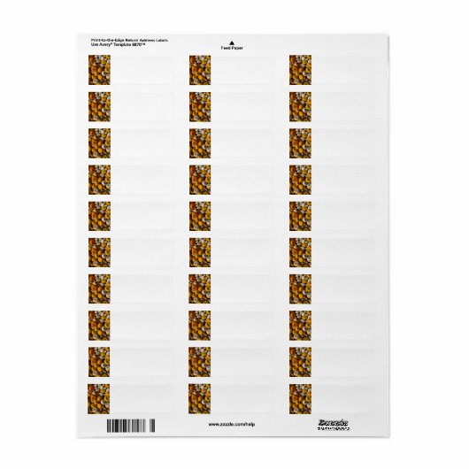 Pompoenen Etiket (Full Sheet)