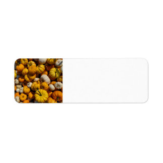 Pompoenen Etiket