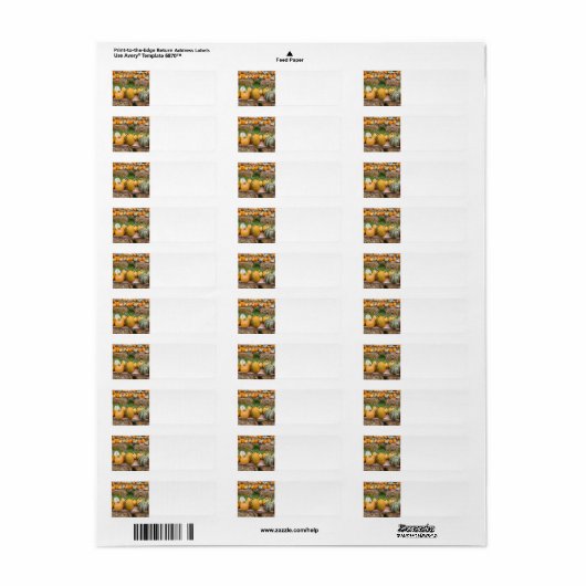 Pompoenen Etiket (Full Sheet)