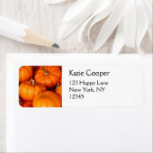 Pompoenen Etiket (Insitu)