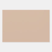 Pompoenen Floral Herfst Beige Sage Inpakpapier Vel (Voorkant 3)