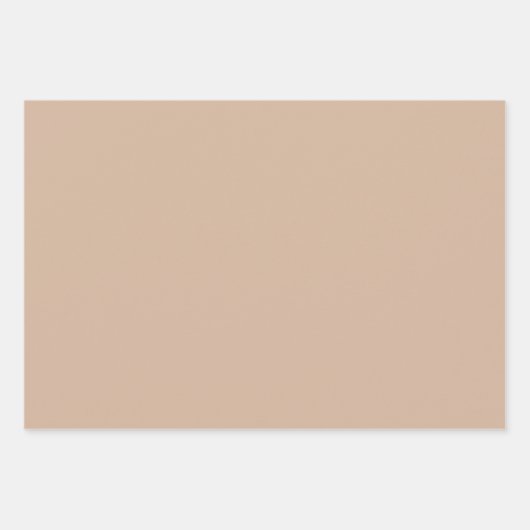 Pompoenen Floral Herfst Beige Sage Inpakpapier Vel (Voorkant 3)