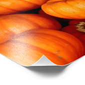 Pompoenen Foto Afdruk (Hoek)