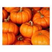 Pompoenen Foto Afdruk (Voorkant)