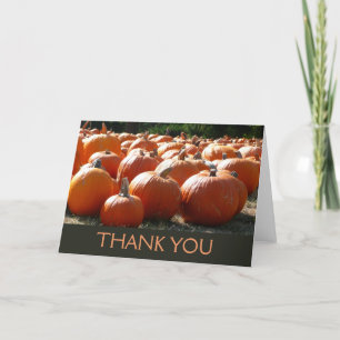 Pompoenen Foto voor Herfst, Halloween of Thanksgiv Bedankkaart