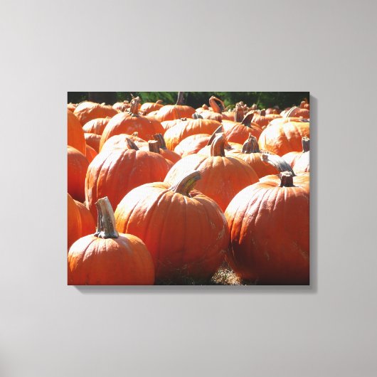Pompoenen Foto voor Herfst, Halloween of Thanksgiv Canvas Afdruk (Voorkant)