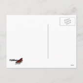 Pompoenen Foto voor Herfst, Halloween of Thanksgiv Feestdagenkaart (Achterkant)