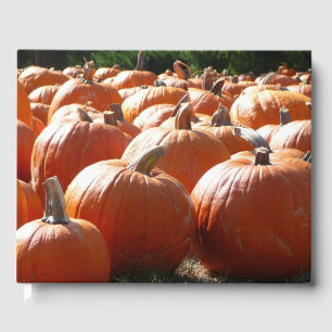 Pompoenen Foto voor Herfst, Halloween of Thanksgiv Gastenboek