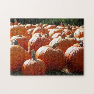 Pompoenen Foto voor Herfst, Halloween of Thanksgiv Legpuzzel