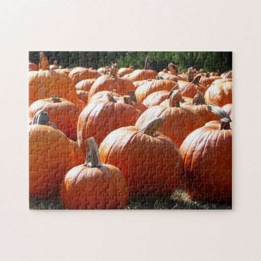Pompoenen Foto voor Herfst, Halloween of Thanksgiv Legpuzzel (Horizontaal)