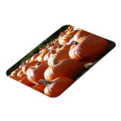 Pompoenen Foto voor Herfst, Halloween of Thanksgiv Magneet (Linkerzijde)