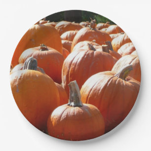 Pompoenen Foto voor Herfst, Halloween of Thanksgiv Papieren Bordje