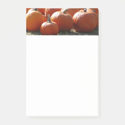 Pompoenen Foto voor Herfst, Halloween of Thanksgiv Post-it® Notes (Voorkant)