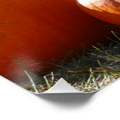 Pompoenen Foto voor Herfst, Halloween of Thanksgiv Poster (Hoek)