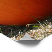 Pompoenen Foto voor Herfst, Halloween of Thanksgiv Poster (Hoek)