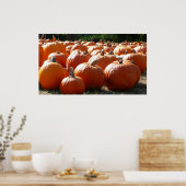 Pompoenen Foto voor Herfst, Halloween of Thanksgiv Poster (Keuken)