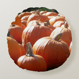 Pompoenen Foto voor Herfst, Halloween of Thanksgiv Rond Kussen