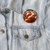 Pompoenen Foto voor Herfst, Halloween of Thanksgiv Ronde Button 5,7 Cm (In situ)