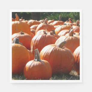 Pompoenen Foto voor Herfst, Halloween of Thanksgiv Servetten