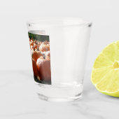 Pompoenen Foto voor Herfst, Halloween of Thanksgiv Shot Glas (Rechts)