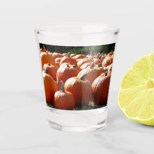 Pompoenen Foto voor Herfst, Halloween of Thanksgiv Shot Glas