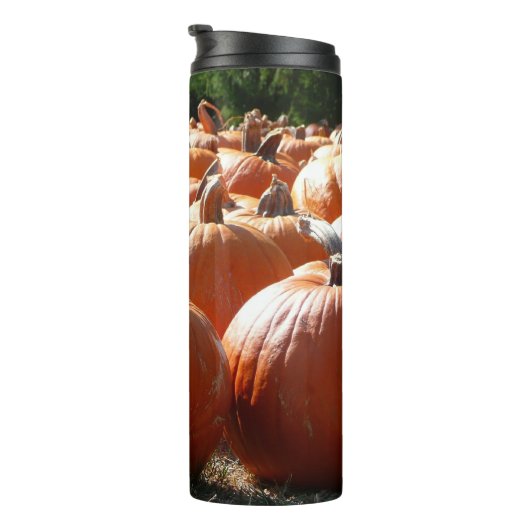Pompoenen Foto voor Herfst, Halloween of Thanksgiv Thermosbeker (Geroteerd rechts)