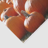 Pompoenen Foto voor Herfst, Halloween of Thanksgiv Tissuepapier (Detail)
