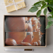 Pompoenen Foto voor Herfst, Halloween of Thanksgiv Tissuepapier (Geschenk)