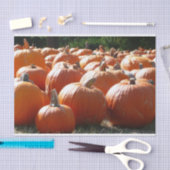 Pompoenen Foto voor Herfst, Halloween of Thanksgiv Tissuepapier (Craft)