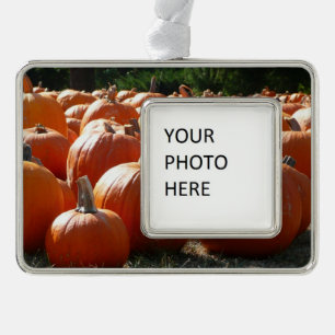 Pompoenen Foto voor Herfst, Halloween of Thanksgiv Verzilverd Omlijst Ornament