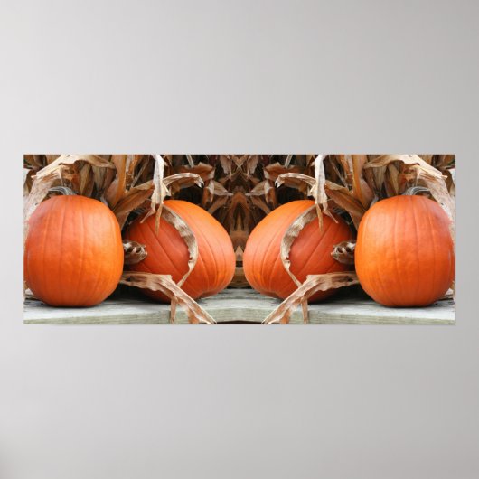 Pompoenen Gedroogde maïsstelen Spiegel Abstract Poster (Voorkant)