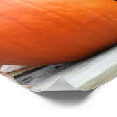 Pompoenen Gedroogde maïsstelen Spiegel Abstract Poster (Hoek)