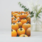 POMPOENEN HERFST HERFST OOGST BRIEFKAARTEN (Staand voorkant)