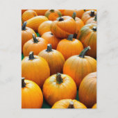 POMPOENEN HERFST HERFST OOGST BRIEFKAARTEN (Voorkant)