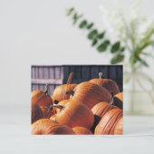 Pompoenen in een Bin Briefkaart (Staand voorkant)