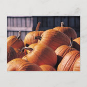 Pompoenen in een Bin Briefkaart (Voorkant)