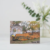 Pompoenen in Keene, NH Briefkaart (Staand voorkant)