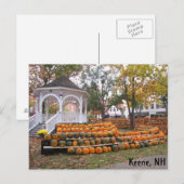 Pompoenen in Keene, NH Briefkaart (Voorkant / Achterkant)
